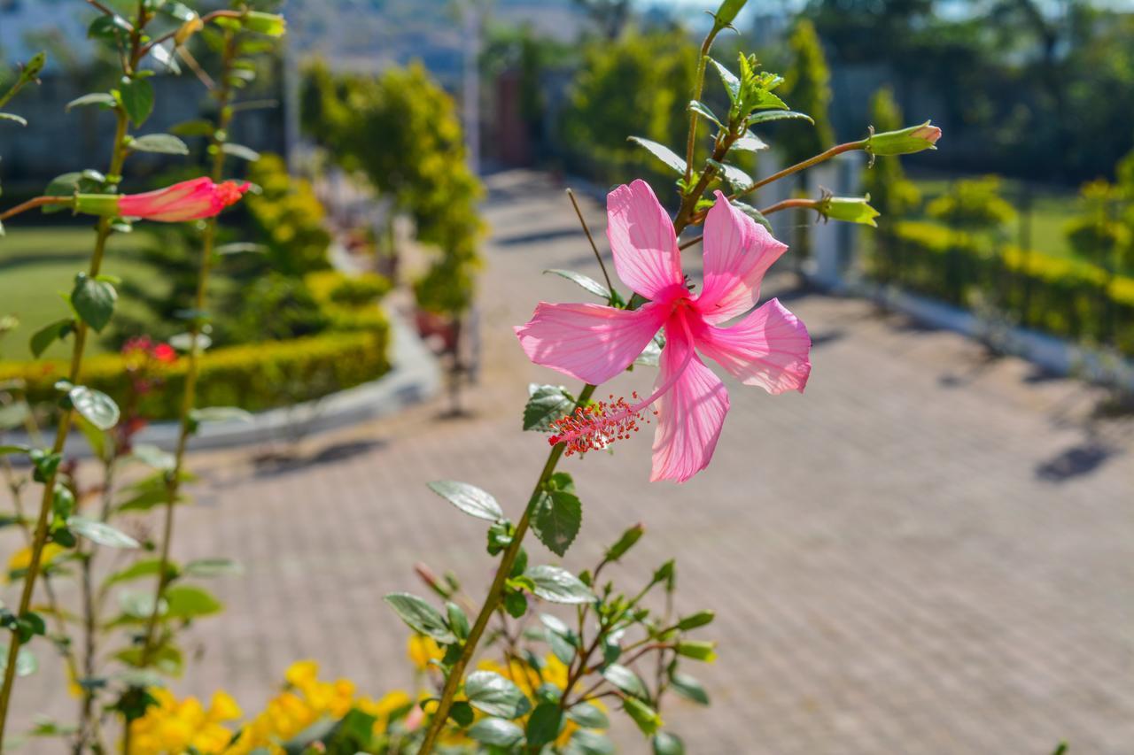 Tiger Hill Homestay Udaipur Exterior photo